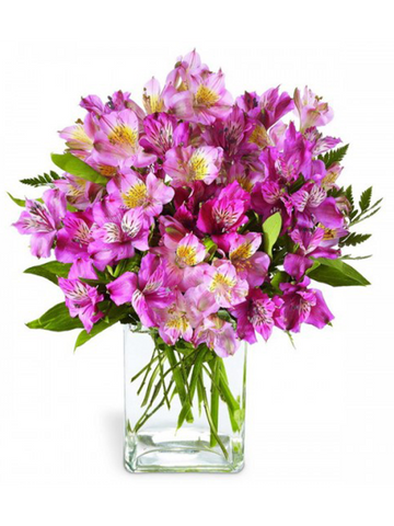 Peruvian Lilies (Vase Included)