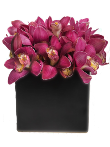 Orchid Centrepiece