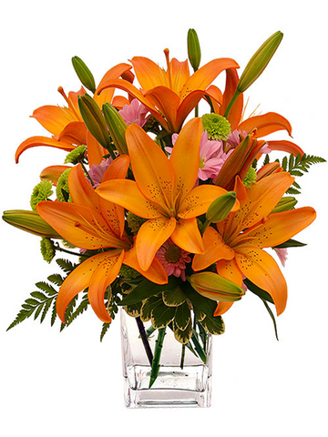 Orange Lily and Daisy Arrangement (Vase Included)