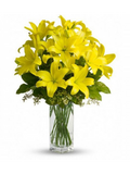 Yellow Lilies on the Rocks